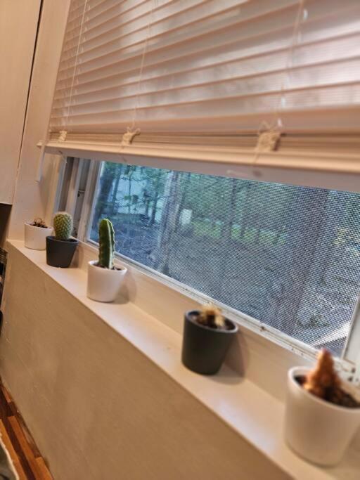 Pocono's Apartment Tobyhanna
